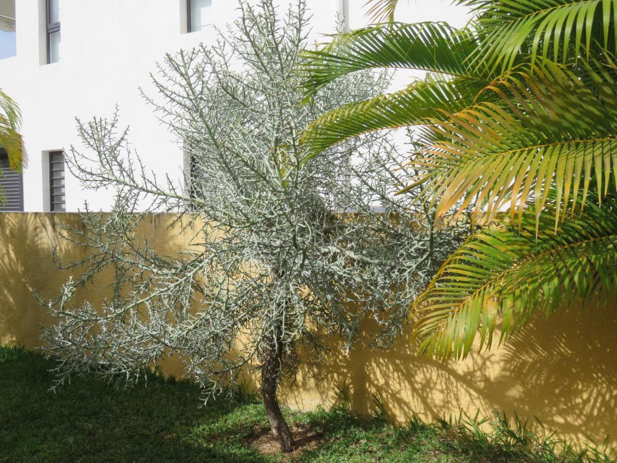 Villa Canelle Trou aux Biches Exterior foto